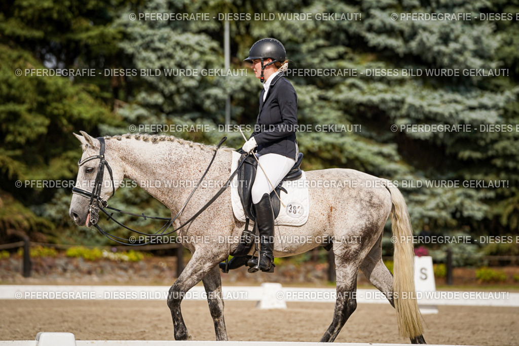 DSC07166 | Pferdegrafie