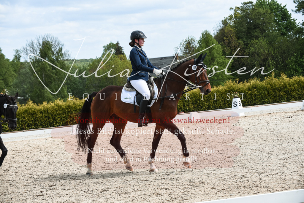 20230518_JK-Röhrsdorf-11-0928 | Pferde- und Turnierfotografie in Westsachsen. Pferdeportraits, Auftragszeichnungen und intuitive Kunst.