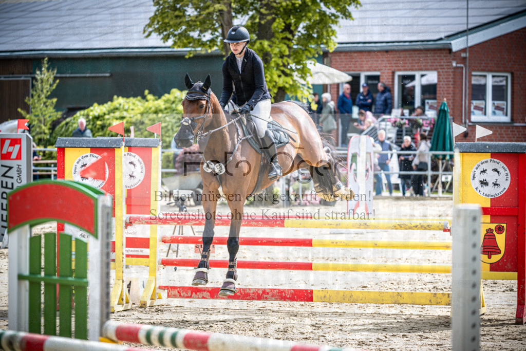 DOS_2238 | Reitturnier Lüdinghausen - Realisiert mit Pictrs.com