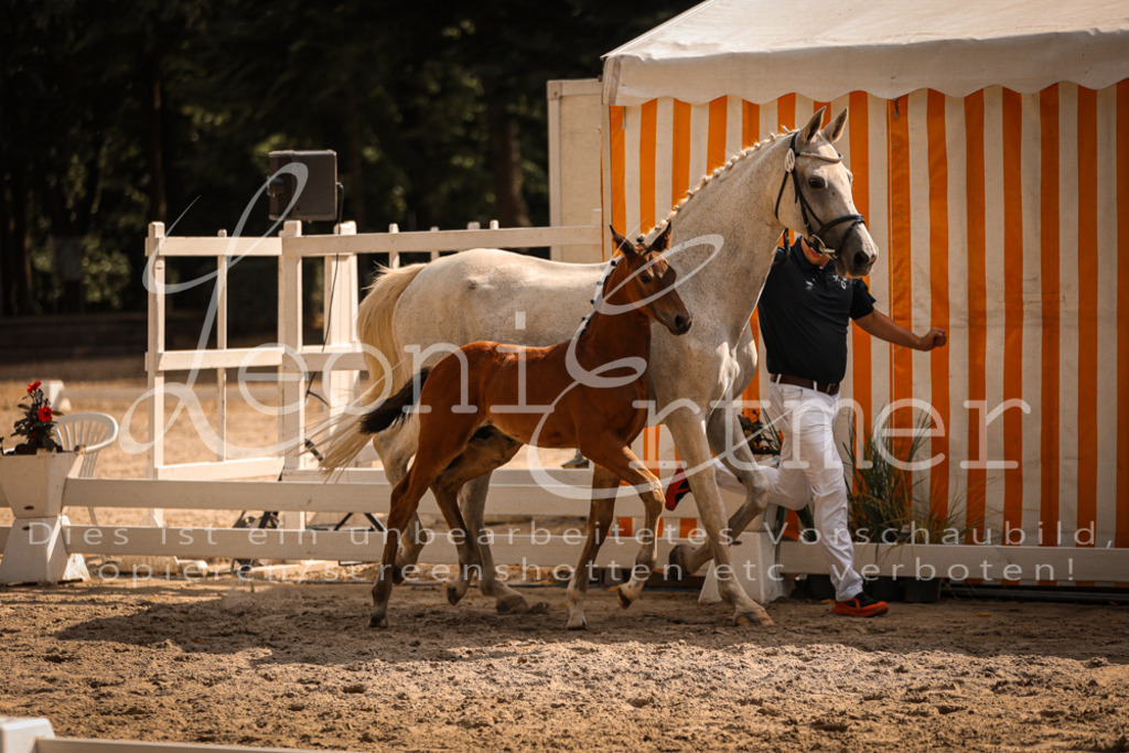 09.DoWBD00106 | Leoni Ertmer Photography - Realisiert mit Pictrs.com