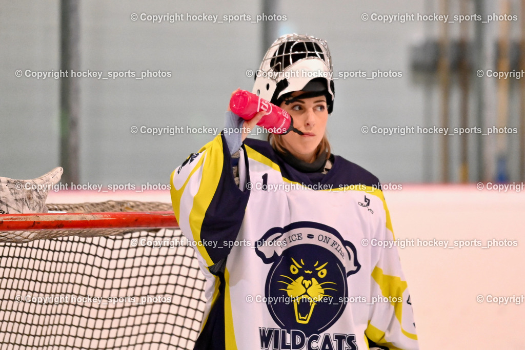 BST_6631 | hockey sports photos, Pressefotos, Sportfotos, hockey247, win 2day icehockeyleague, Handball Austria, Floorball Austria, ÖVV, Kärntner Eishockeyverband, KEHV, KFV, Kärntner Fussballverband, Österreichischer Volleyballverband, Alps Hockey League, ÖFB, 