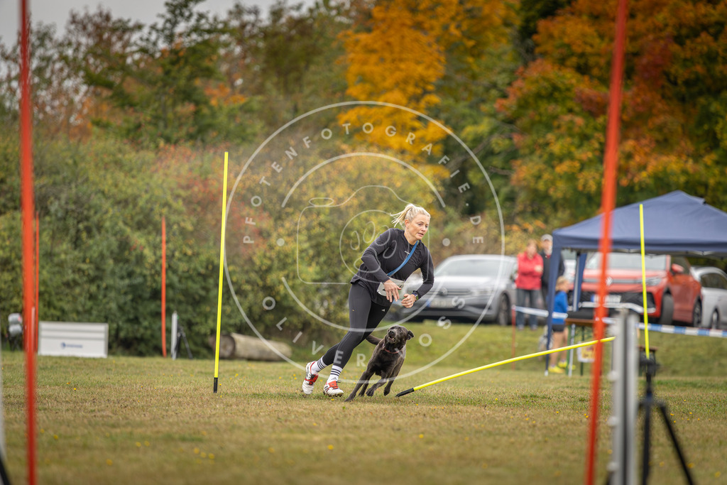 Pfotenfotografie_DV3A3420 | Hundefotografie, Tierfotograf, Pfotenfotografie, Fotoshooting Hund, Hunde Portrait, Hundesport, Hundeportraits, Heideshooting, Hunde, Sportfotograf, Hundefotograf, Turnierhundsport, THS,  - Realisiert mit Pictrs.com