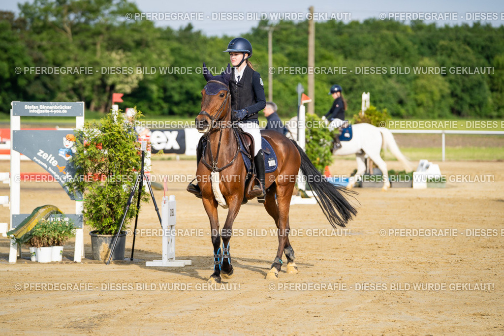 DSC02905 | Pferdegrafie