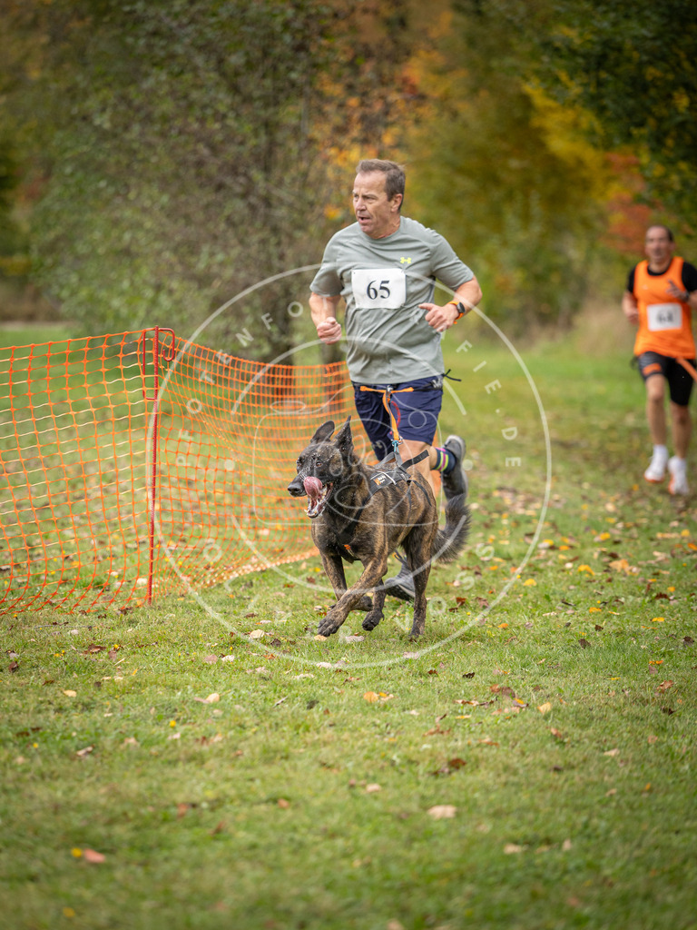 Pfotenfotografie_DV3A2721 | Hundefotografie, Tierfotograf, Pfotenfotografie, Fotoshooting Hund, Hunde Portrait, Hundesport, Hundeportraits, Heideshooting, Hunde, Sportfotograf, Hundefotograf, Turnierhundsport, THS,  - Realisiert mit Pictrs.com