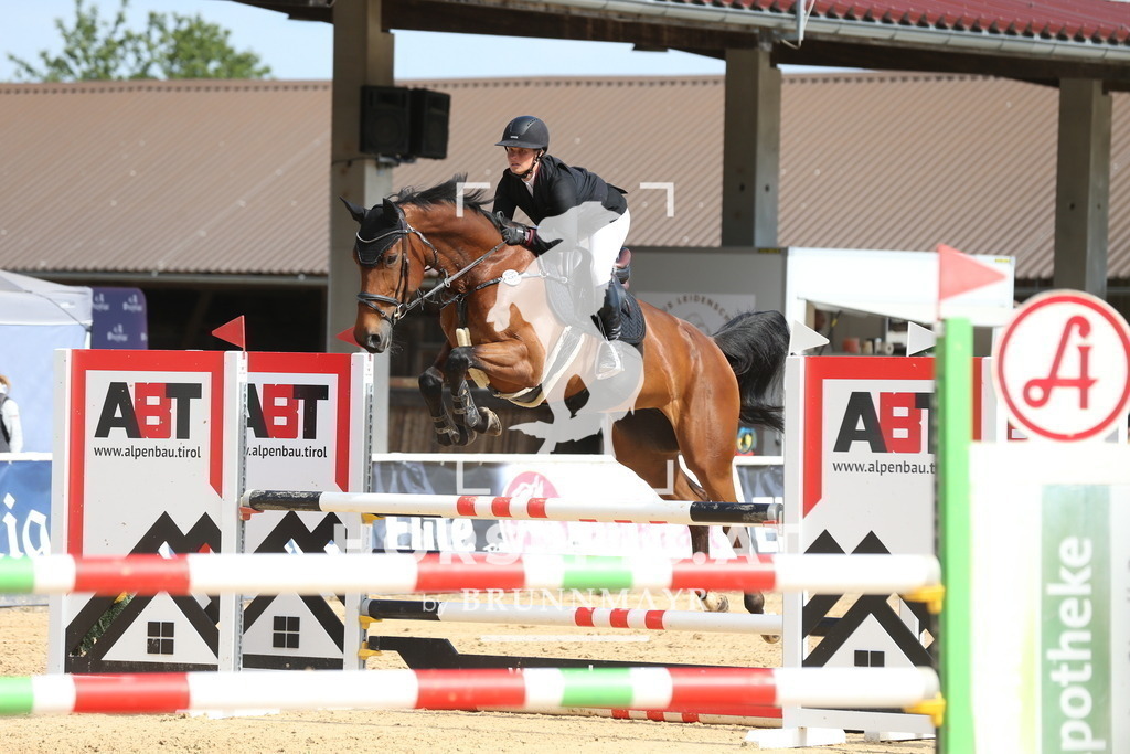 DL2Q0943 | Willkommen bei Brunnmayr - Design & Fotografie – Ihrem Spezialisten für Reitturniere und Pferdeveranstaltungen in Oberösterreich, Salzburg und Bayern! Seit über 17 Jahren sind wir leidenschaftlich dabei.