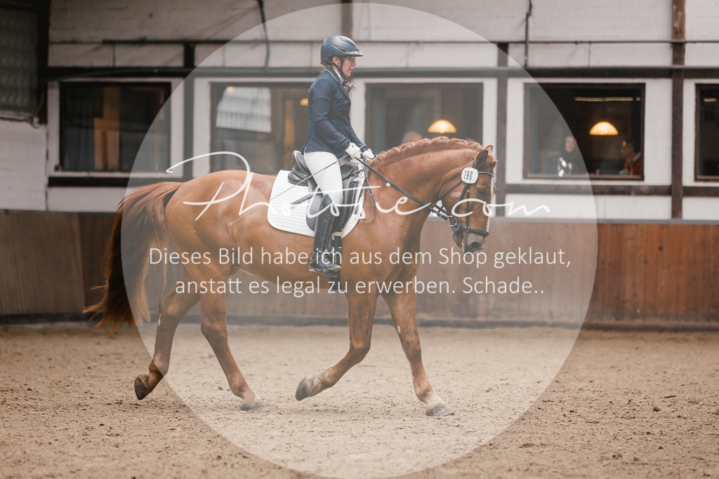 3I6A7251 | Stimmungsvolle Portraits und Reitsportfotografie im Ruhrgebiet und im Münsterland.

Pferdefotografie, Hundefotografie, Tierfotografie, Reportagen, Portraits von Tier und Mensch, Turnierfotografie in Bochum, Recklinghausen, Marl, Haltern am See, Dülmen.. - Realisiert mit Pictrs.com