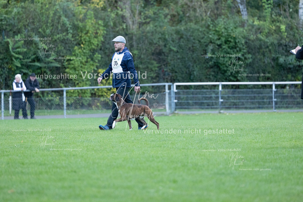 _16A4516 | Einzigartige Fotos von Hunden & Menschen –Actionfotos, Portraits, Vereinsaufnahmen & Paarshootings – authentisch, lebendig & mit Herz.