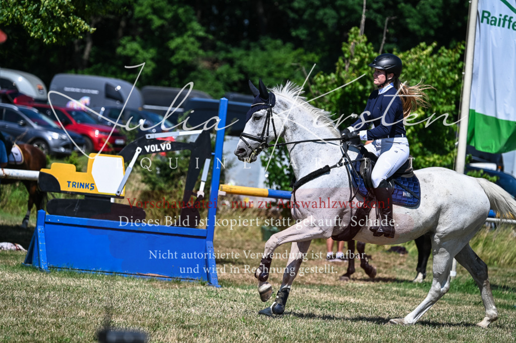 DSC_1401 | Pferde- und Turnierfotografie in Westsachsen. Pferdeportraits, Auftragszeichnungen und intuitive Kunst.