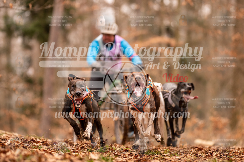 AKM_ST_2023_SAM_DR4-7 | PayLife