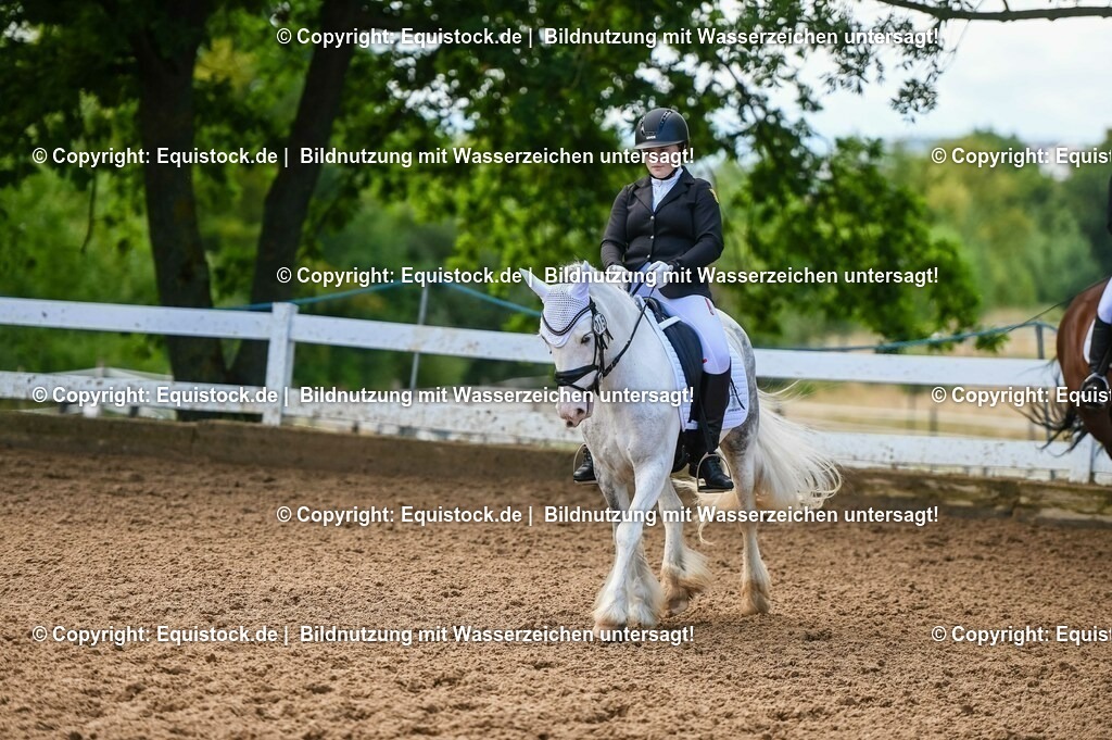 20230716_04_Dressurreiterprüfung Kl.A_0395 | equistock