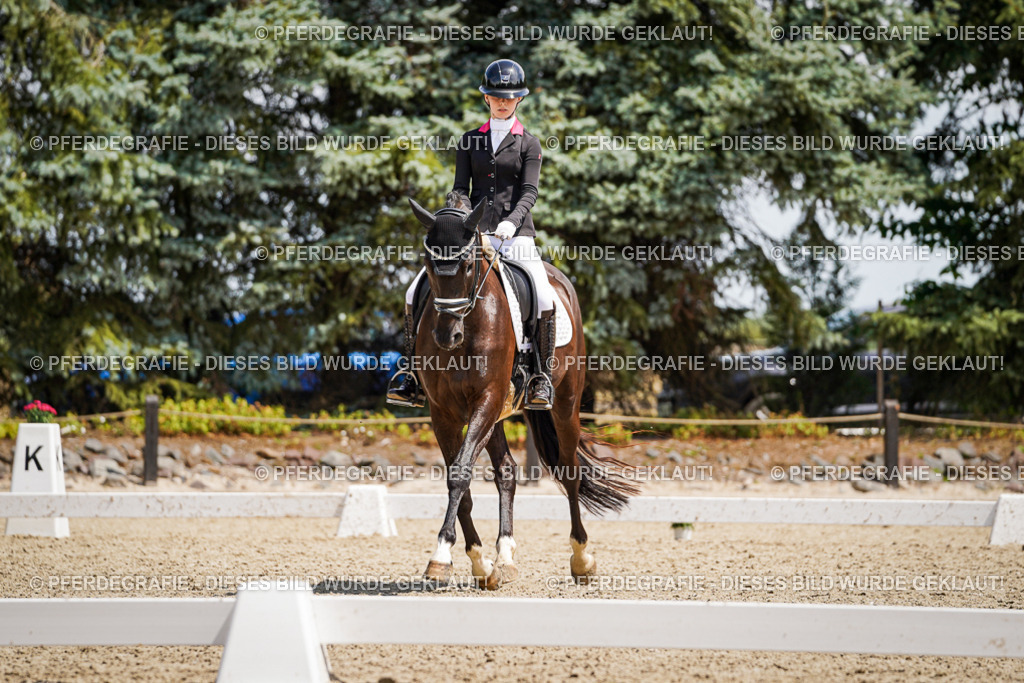 DSC01575 | Pferdegrafie