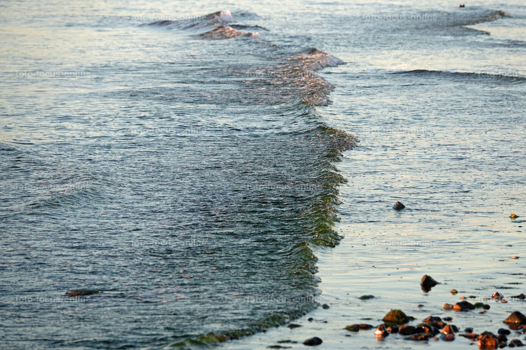 silent waves | foto-focus-online