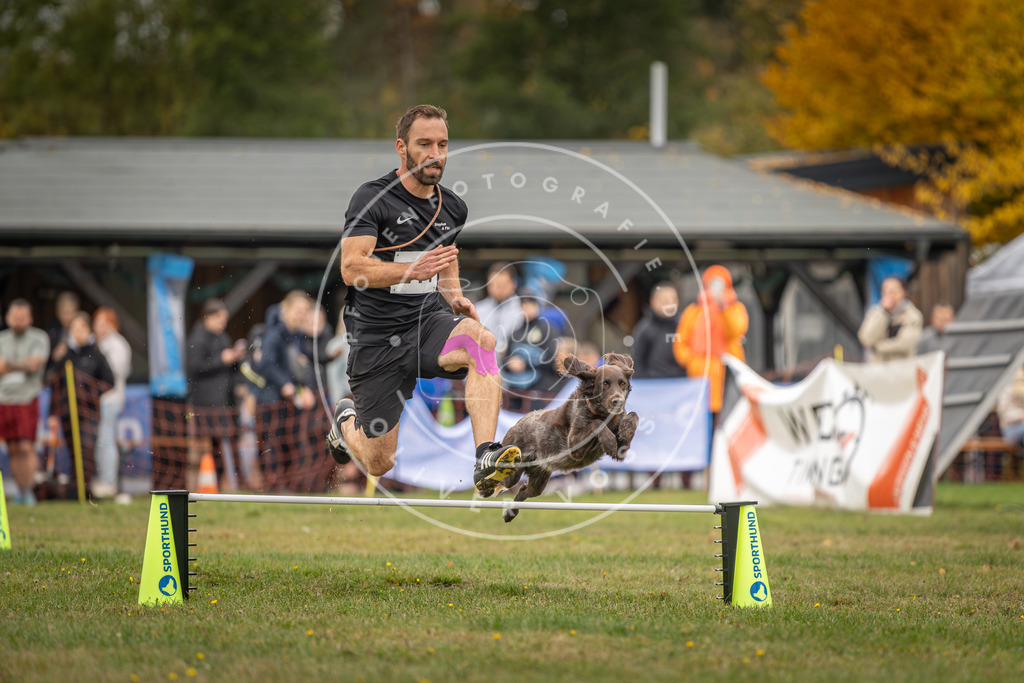 Pfotenfotografie_DV3A5085 | Hundefotografie, Tierfotograf, Pfotenfotografie, Fotoshooting Hund, Hunde Portrait, Hundesport, Hundeportraits, Heideshooting, Hunde, Sportfotograf, Hundefotograf, Turnierhundsport, THS,  - Realisiert mit Pictrs.com