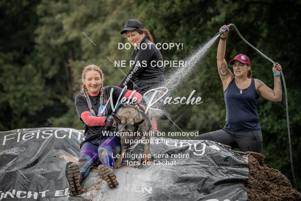 nelerasche_Wingst_Sa1300-1330_379 | nelerasche