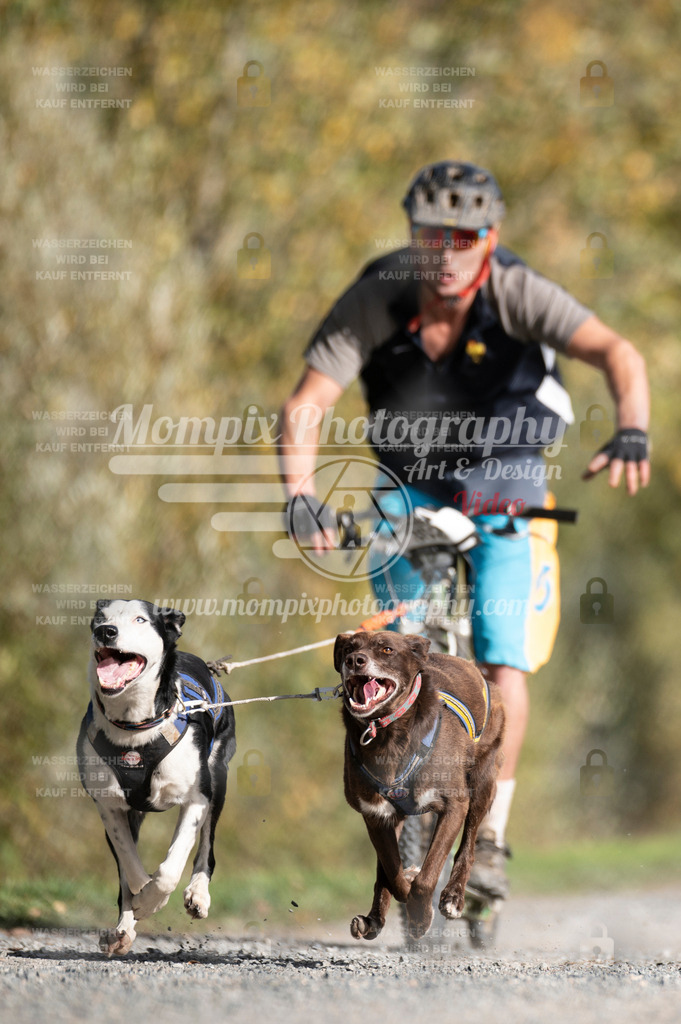 TSB_2023_E2_DS2-14 | PayLife