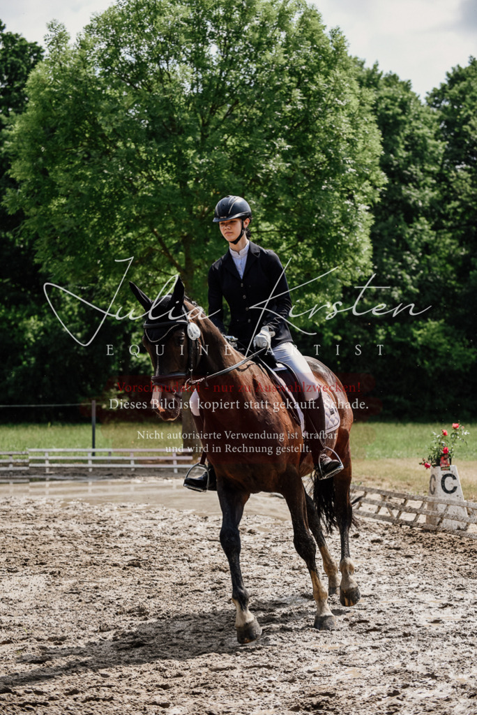 DSC_0816 | Pferde- und Turnierfotografie in Westsachsen. Pferdeportraits, Auftragszeichnungen und intuitive Kunst.