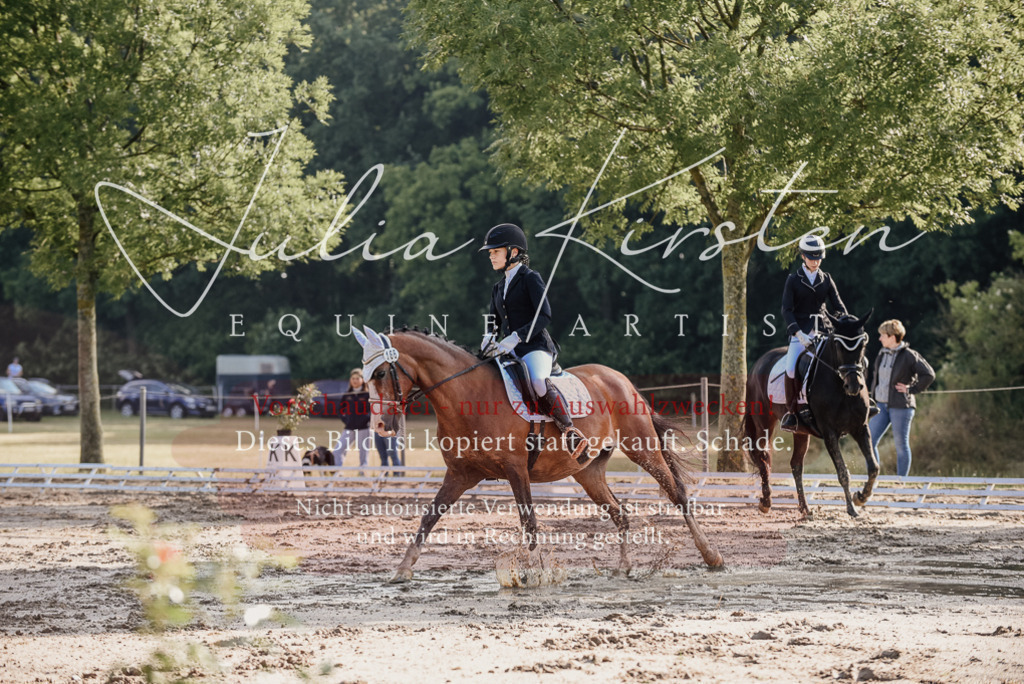 DSC_7827 | Pferde- und Turnierfotografie in Westsachsen. Pferdeportraits, Auftragszeichnungen und intuitive Kunst.
