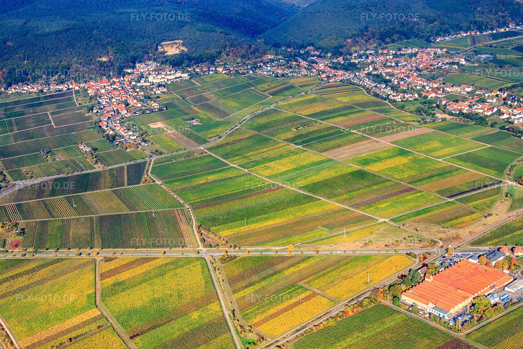 Luftbild: Mandelring aus Osten in Neustadt an der Weinstraße im Bundesland Rheinland-Pfalz in Deutschland. Foto: IMG_22063.jpg vom 15.10.2009 durch Werner Riehm/FLY-FOTO.de