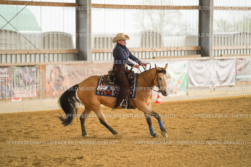 DSC09600 | Pferdegrafie