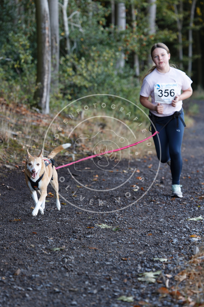 0L8A2204 | Hundefotografie, Tierfotograf, Pfotenfotografie, Fotoshooting Hund, Hunde Portrait, Hundesport, Hundeportraits, Heideshooting, Hunde, Sportfotograf, Hundefotograf, Turnierhundsport, THS,  - Realisiert mit Pictrs.com