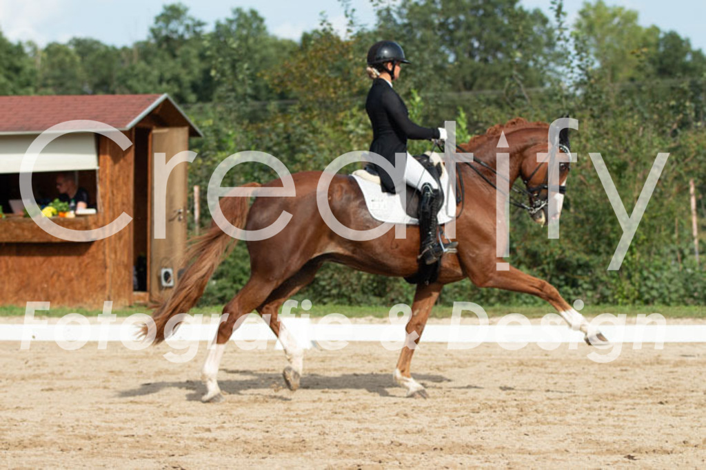 IMG_4216 | Creatify Fotografie