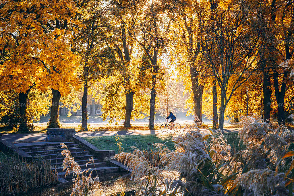 Clara Park | Der Clara-Zetkin-Park in Leipzig ist ein beliebter Ort für Natur, Sport und Erholung – perfekt für Spaziergänge, Jogging und entspannte Stunden im Grünen. - Realisiert mit Pictrs.com
