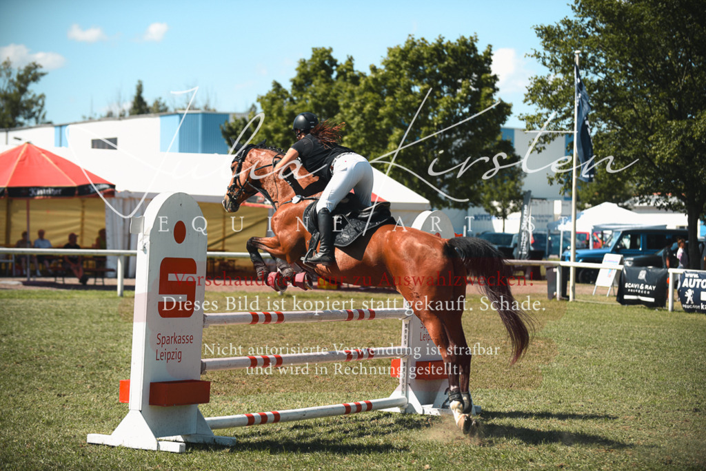 DSC_7091 | Pferde- und Turnierfotografie in Westsachsen. Pferdeportraits, Auftragszeichnungen und intuitive Kunst.