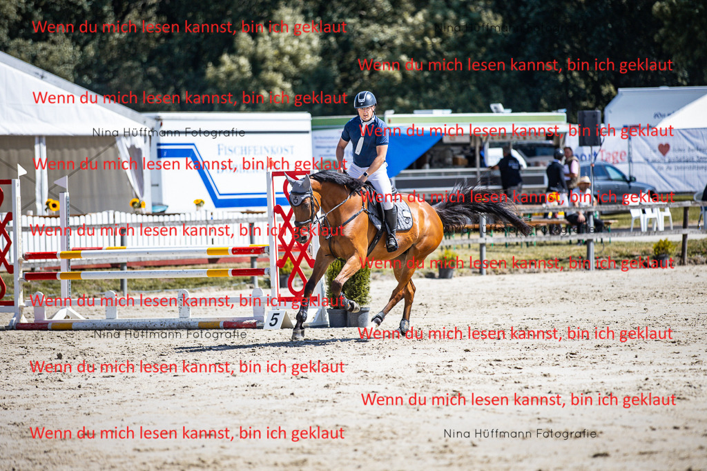 BK1A5243 | Turnierbilder Turnierfotos Nina Hüffmann Turnierfotografie Pferdefotografie Tierzeichnung Haustierzeichnung Pferdezeichnung Hundezeichnung Videograf  - Realisiert mit Pictrs.com