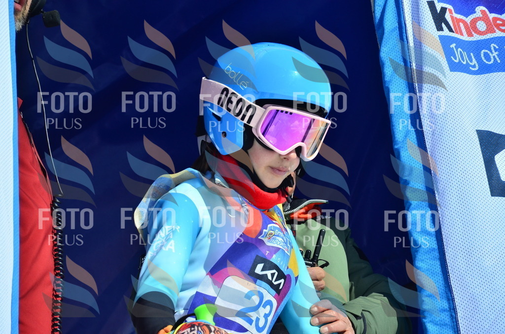 _ELE9905 | holidayphoto