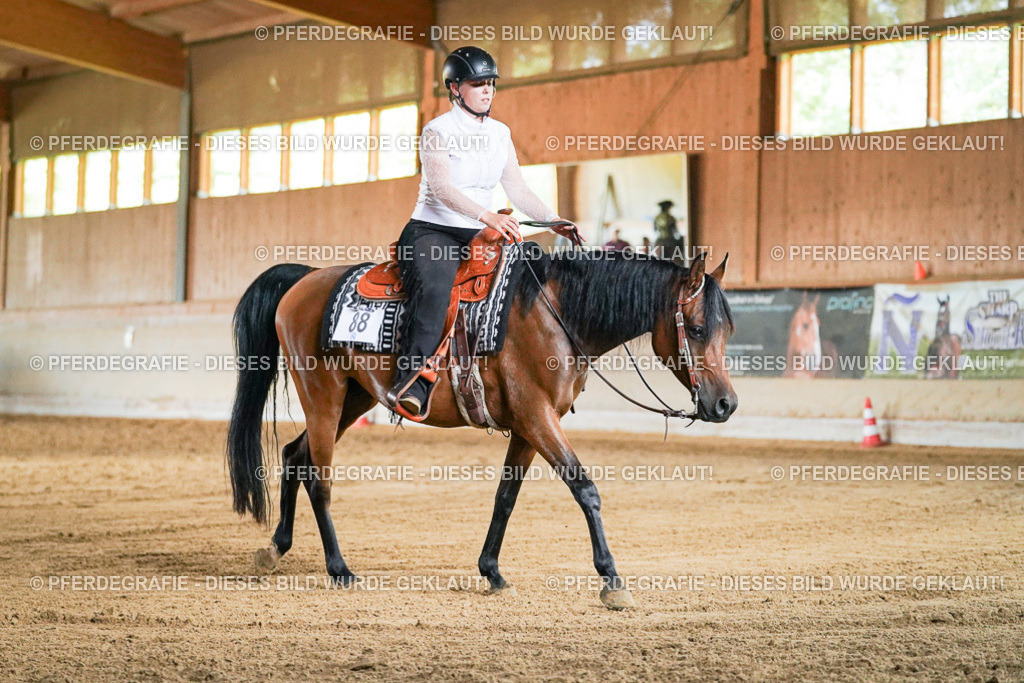 DSC05699 | Pferdegrafie