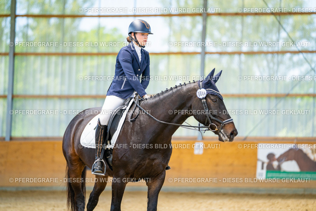 DSC08563 | Pferdegrafie