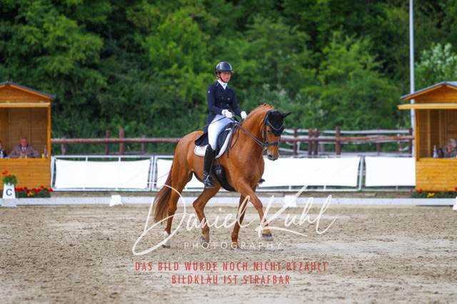 DKP48062 | Turniersportfotografie; Pferdefotografie; Dressurfotografie