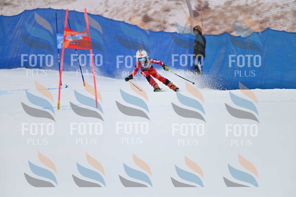 BGV_1998 | holidayphoto