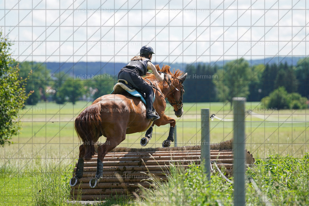 20240622-FAH06833 | Turnierfotografen Bayern, Reitsportbilder aus dem Geländekurs mit Felix Etzel auf dem Gut Waitzacker 2024