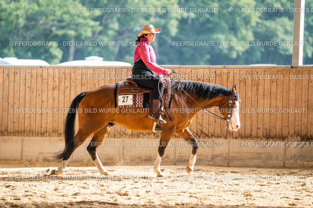 DSC08249 | Pferdegrafie