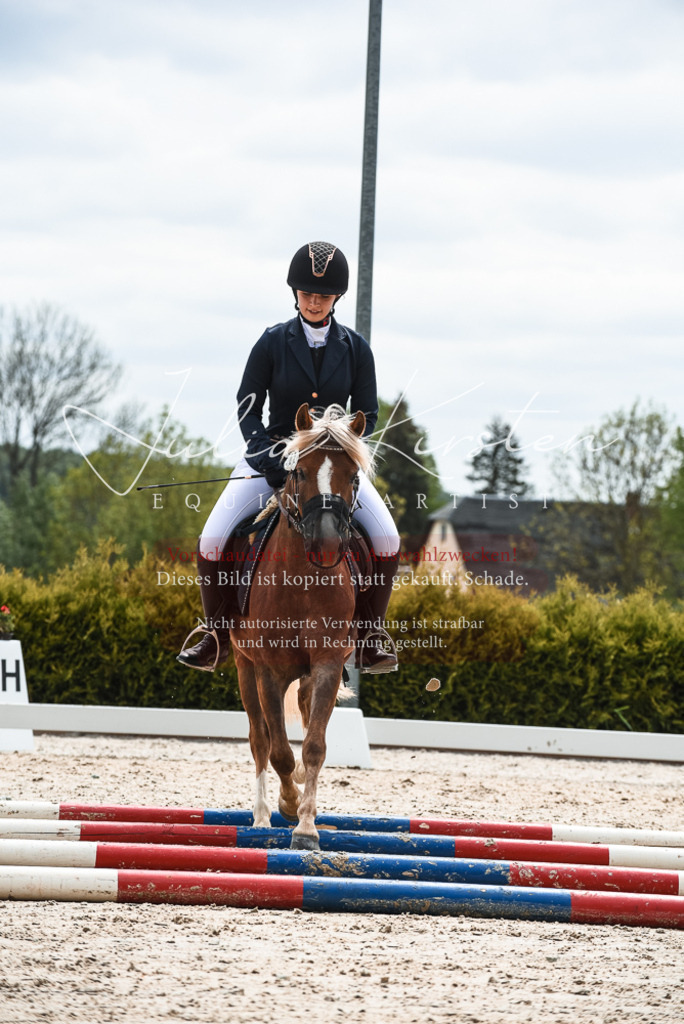 20230518_JK-Röhrsdorf-10-306 | Pferde- und Turnierfotografie in Westsachsen. Pferdeportraits, Auftragszeichnungen und intuitive Kunst.