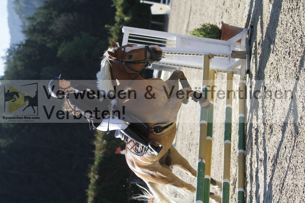 _MG_4286 | equestrian-live-com