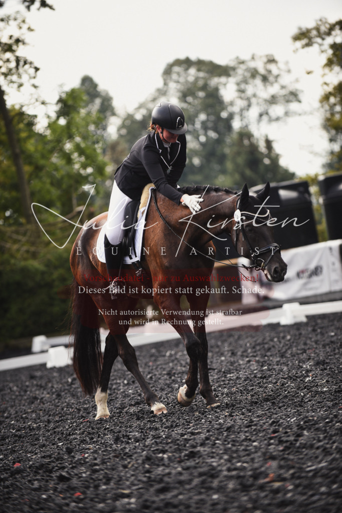 DSC_3743 | Pferde- und Turnierfotografie in Westsachsen. Pferdeportraits, Auftragszeichnungen und intuitive Kunst.