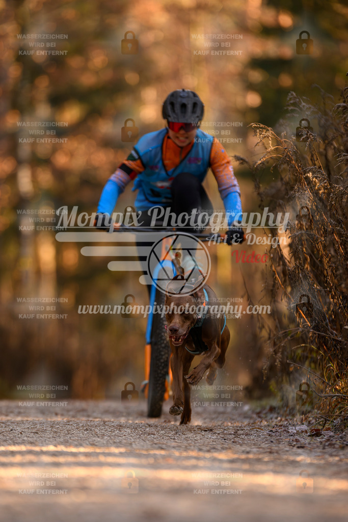 MompixPhotography_DM_AKDM_SO_2025_Scooter-123 | PayLife
