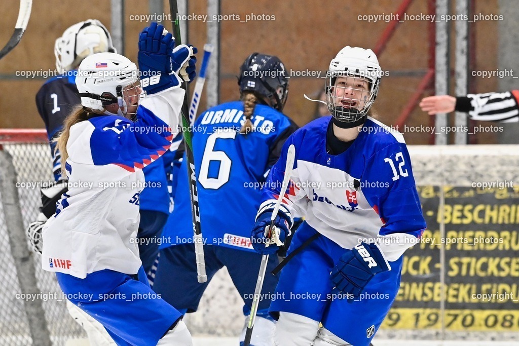 BST_4421 | hockey sports photos, Pressefotos, Sportfotos, hockey247, win 2day icehockeyleague, Handball Austria, Floorball Austria, ÖVV, Kärntner Eishockeyverband, KEHV, KFV, Kärntner Fussballverband, Österreichischer Volleyballverband, Alps Hockey League, ÖFB, 
