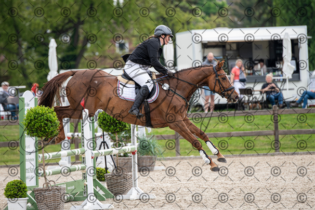 KPT_2104 | andre_photographic