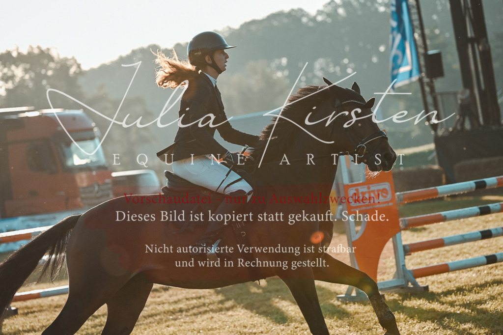 DSC_3731 | Pferde- und Turnierfotografie in Westsachsen. Pferdeportraits, Auftragszeichnungen und intuitive Kunst.