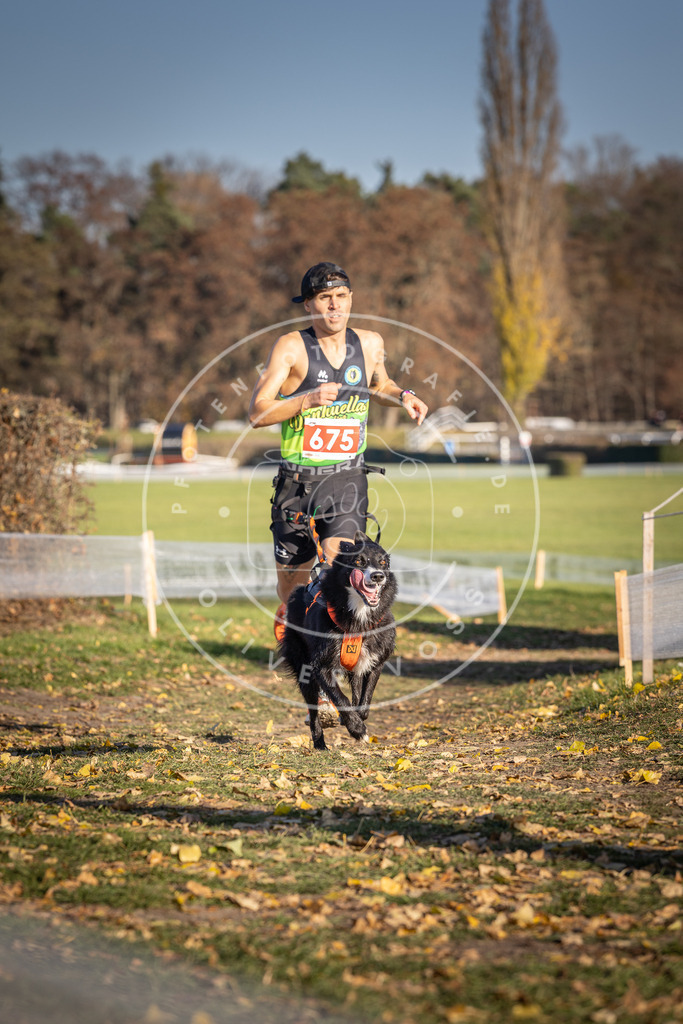 CaniXpix_DV3A0961 | Hundefotografie, Tierfotograf, Pfotenfotografie, Fotoshooting Hund, Hunde Portrait, Hundesport, Hundeportraits, Heideshooting, Hunde, Sportfotograf, Hundefotograf, Turnierhundsport, THS,  - Realisiert mit Pictrs.com