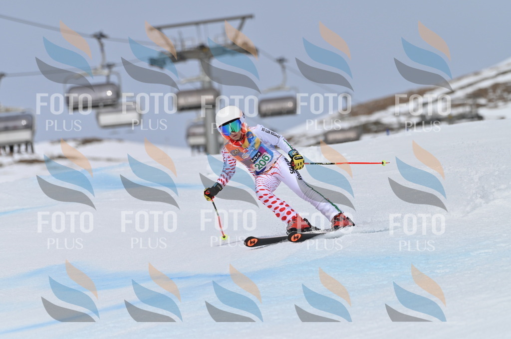 BGV_3976 | holidayphoto