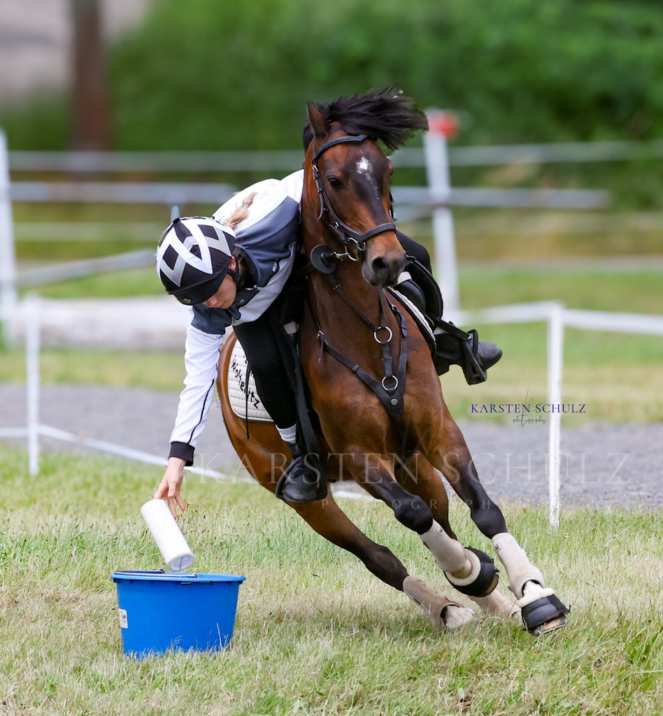 1B3A1295 | Reitsport Reiten
