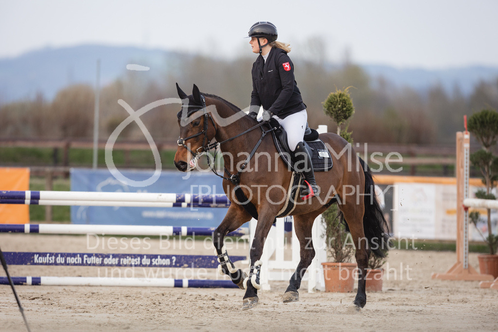 230406_Frühlingsfest_A-Stil2-229 | Deine schönsten Turniermomente als professionelle Fotos! Entdecke hochwertige Pferdesport-Fotografie im Online-Shop. Jetzt Fotos finden & bestellen!