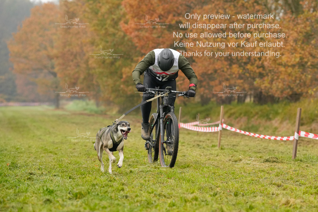 Visbeck_Sa_Bike-81 | stephaniefillaphotographie - Realisiert mit Pictrs.com