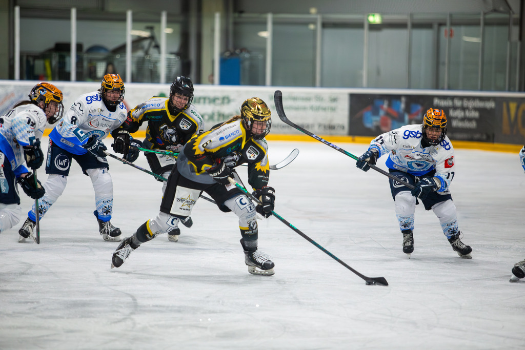 07.12.2024: Deutsche Frauen Eishockey Liga, Saison 2024/25: Mad Dogs Mannheim gegen ERC Ingolstadt | 07.12.2024: Deutsche Frauen Eishockey Liga, Saison 2024/25: Mad Dogs Mannheim gegen ERC Ingolstadt - Realisiert mit Pictrs.com
