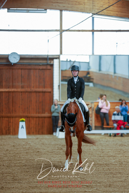 _62_5154 | Turniersportfotografie; Pferdefotografie; Dressurfotografie