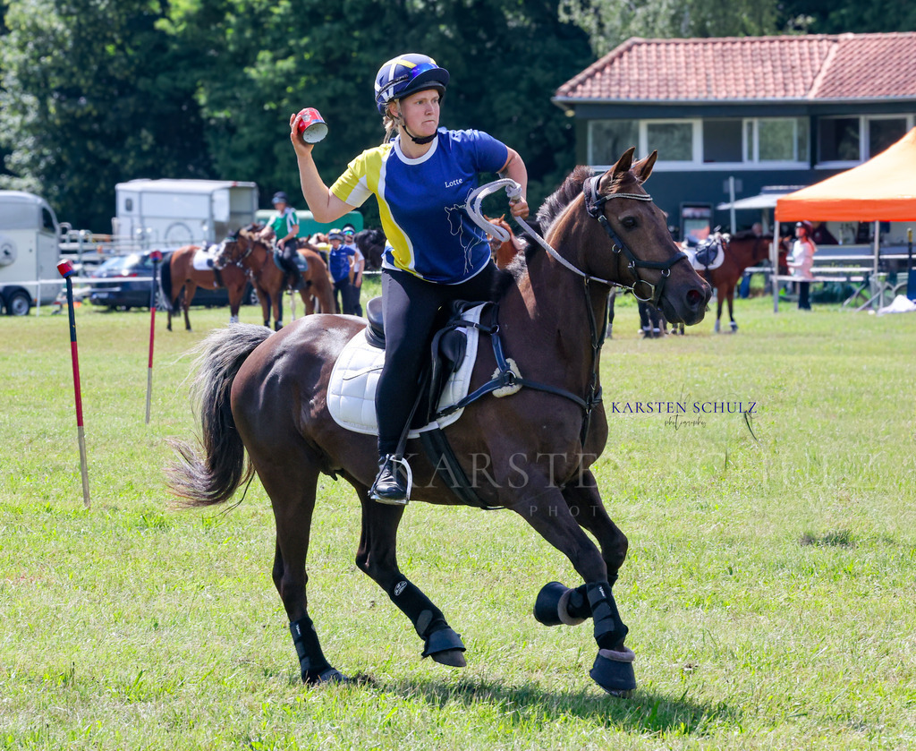 1B3A4197 | Reitsport Reiten
